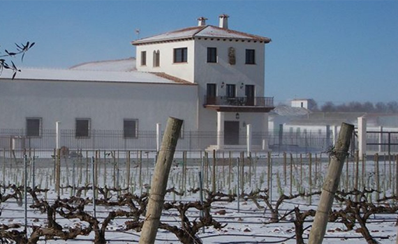 Finca Buenavista Ⓒ Finca Buenavista Bodegas y Viñedos Illana S.L.