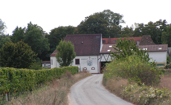 Weingut-Milch - Monsheim